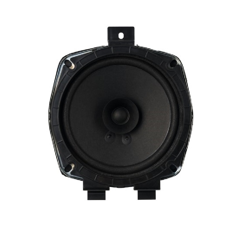 Car Speakers For HYUNDAI Specialized Car Speaker XY-X100/XY-XD01/XY-CK7911 100R20